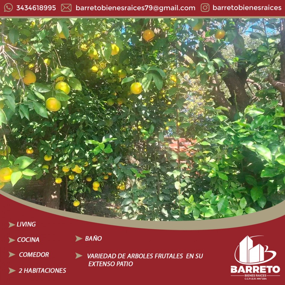 PROPIEDAD DE AMPLIO TERRENO 